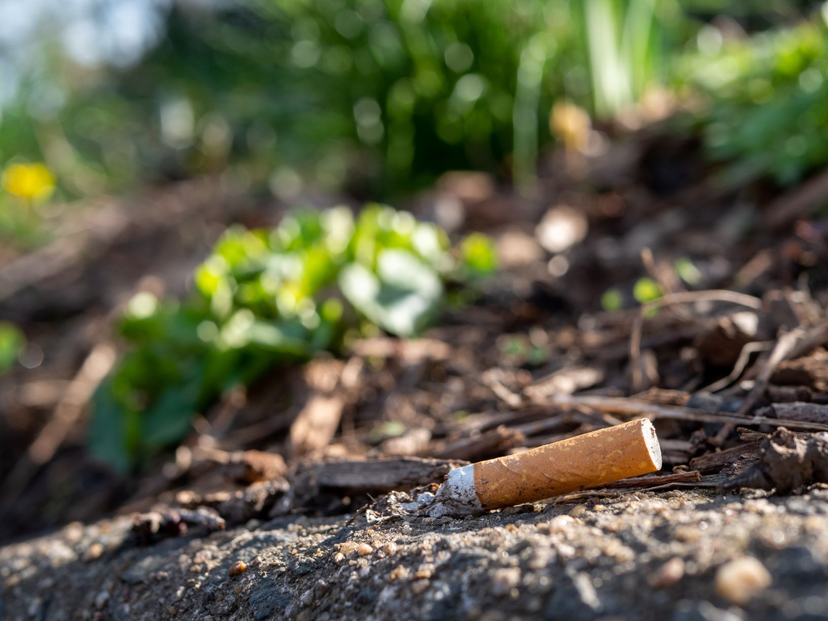 Campagna di contrasto dell’abbandono a terra di prodotti da fumo nel Lazio